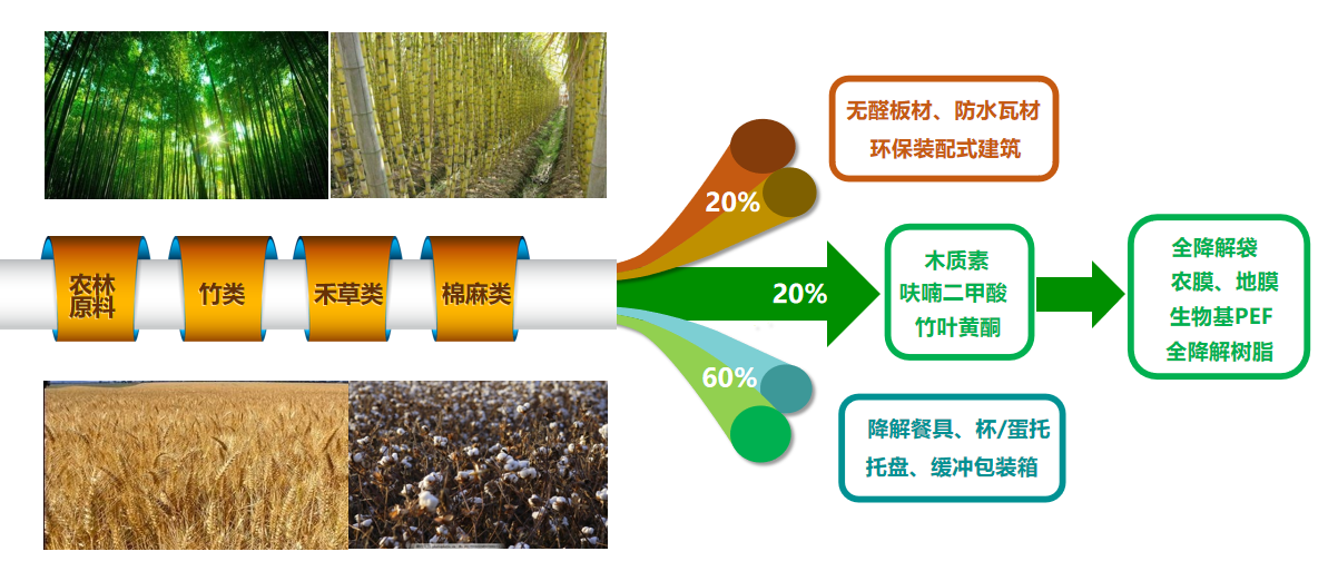 生物基新材料